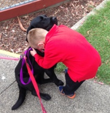 Student gives Faith the labrador a big hug