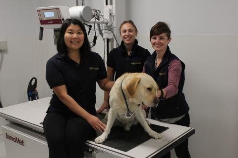 L2R Sue Mae Chua, Dr Nicola Cotton, Katherine Kakafikas and SED Wesley